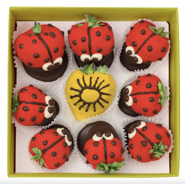 Set di fragole in coccinelle di cioccolato